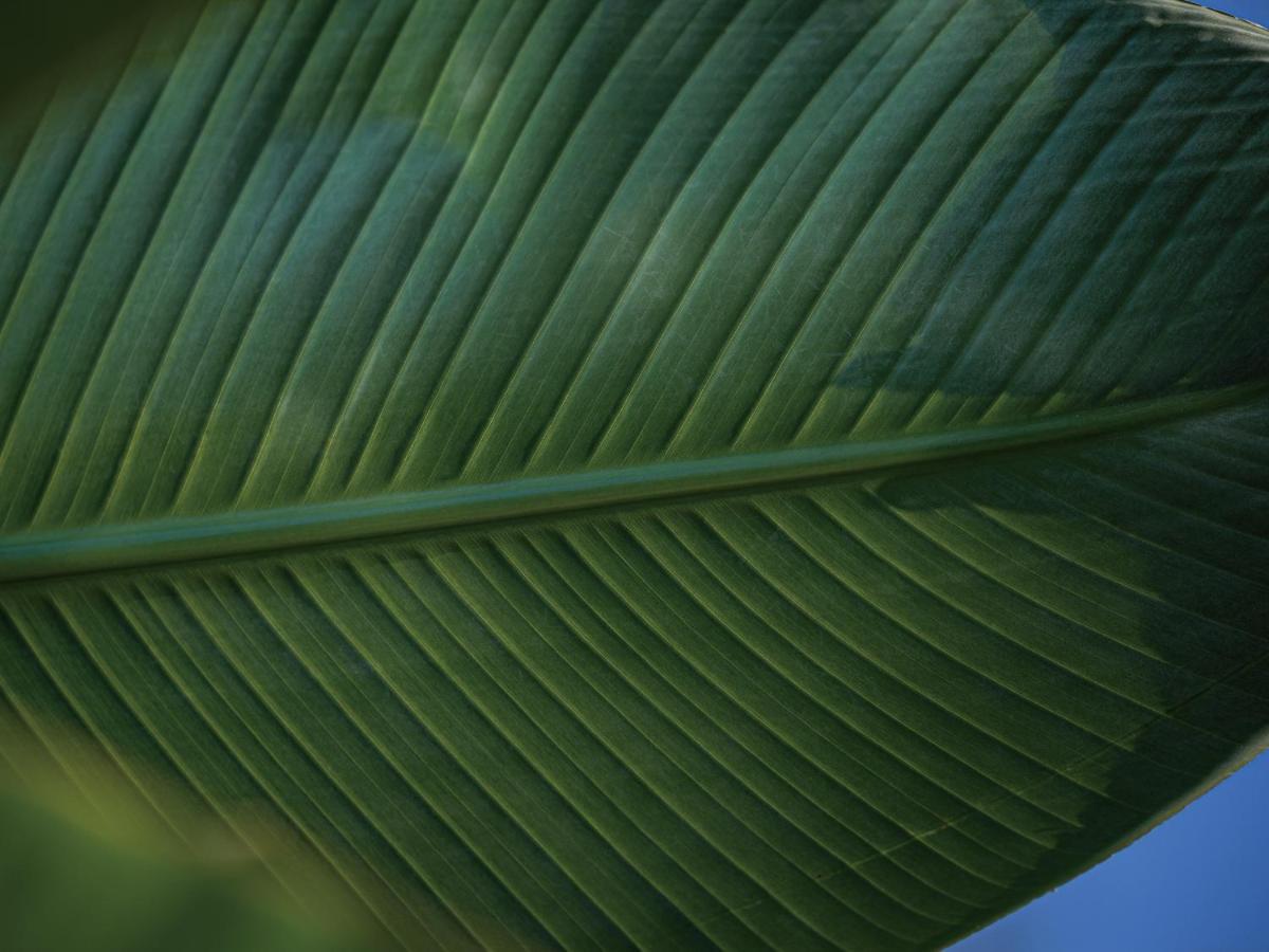 Homm Stay Yumiha Okinawa By Banyan Tree Group Onna Exterior foto